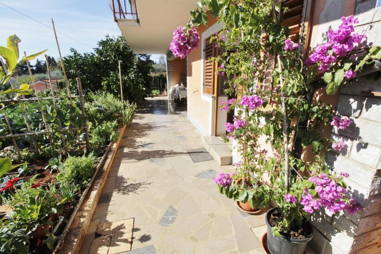 Apartments Marija Savudrija Exterior photo